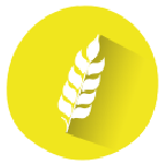 Gluten
